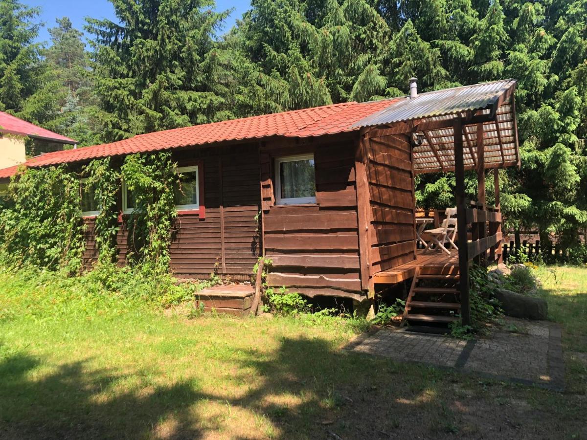 Вилла Gosciniec Pod Debem Wilimy Экстерьер фото